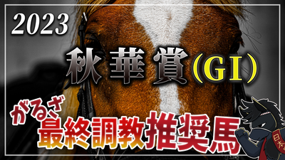 2023年秋華賞（GⅠ）最終調教推奨馬