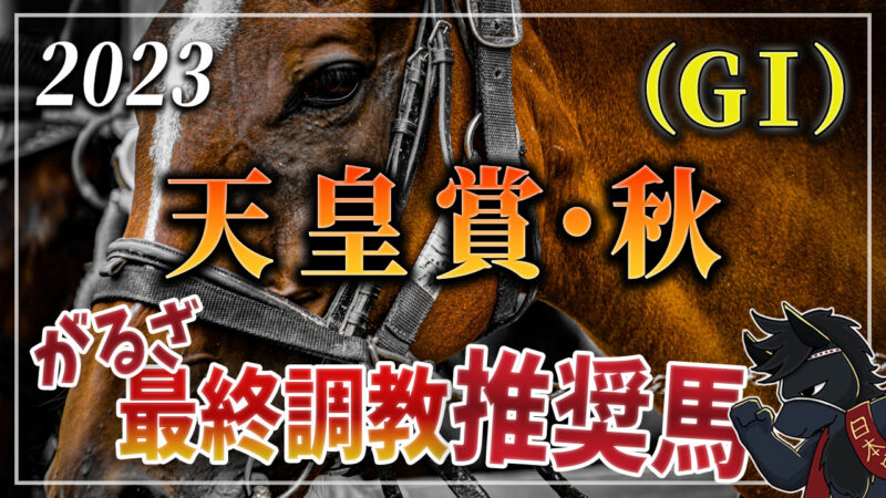 2023年天皇賞・秋（GⅠ）最終調教推奨馬