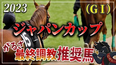 2023年ジャパンカップ（GⅠ）最終調教推奨馬＆個人的調教推奨No.1