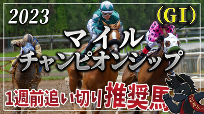 2023年マイルCS（GⅠ）１週前追い切り評価＆推奨馬