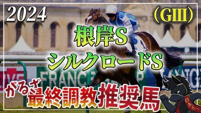 2024年根岸S（GⅢ）＆シルクロードS（GⅢ）最終調教